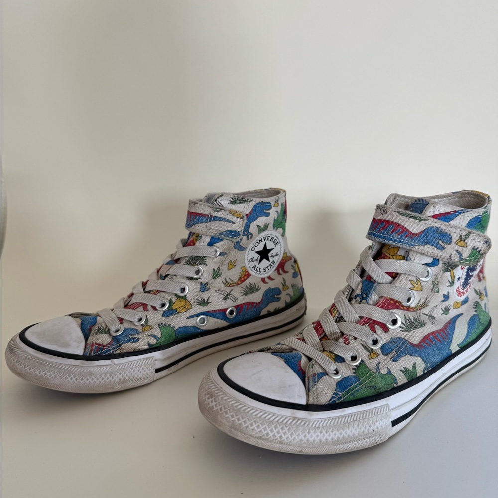 Converse Dinosaur Chuck Taylor High Tops